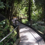 Hawaii Tropical Botanical Garden
